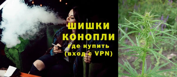 прущие крисы Вяземский