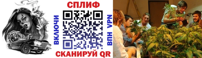 Шишки марихуана индика  купить наркотик  Гаджиево 
